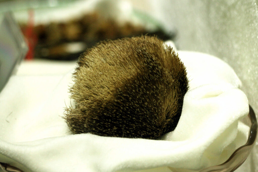 Giải Mã Lịch Sử Nước Hoa: Từ 'Vàng Nổi' Đại Dương Đến Những Lầm Tưởng Về Hương Liệu (trò chuyện cùng KORU 01) primary form of musk